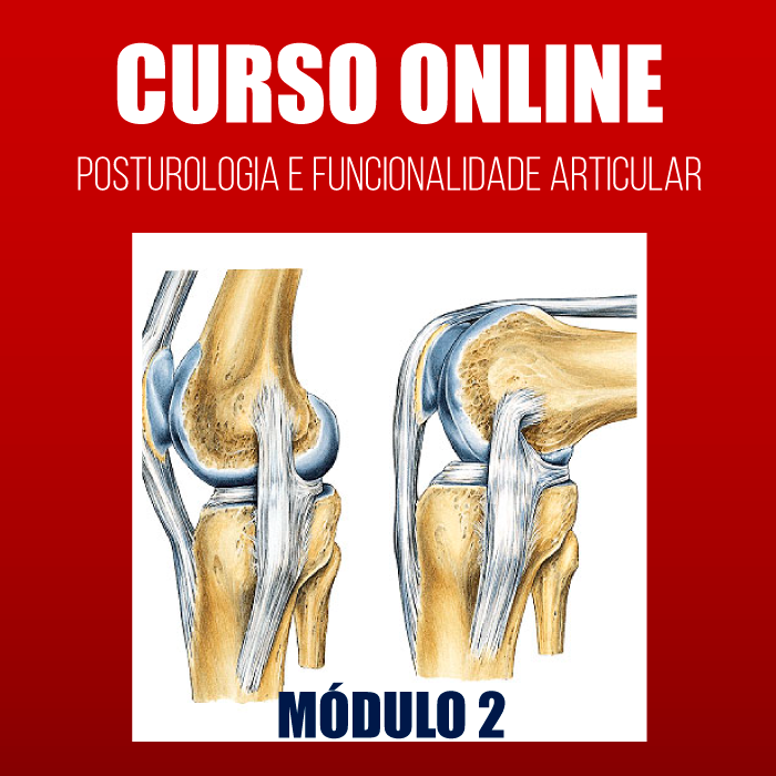 CURSO-ONLINE-MODULO-2 CURSO-ONLINE-MODULO-2